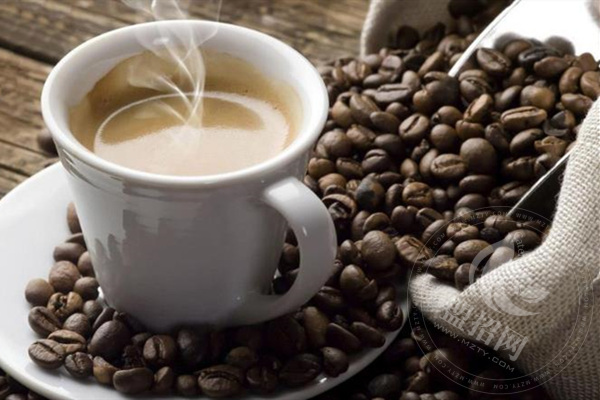马来西亚蓝岸咖啡一年能赚多少